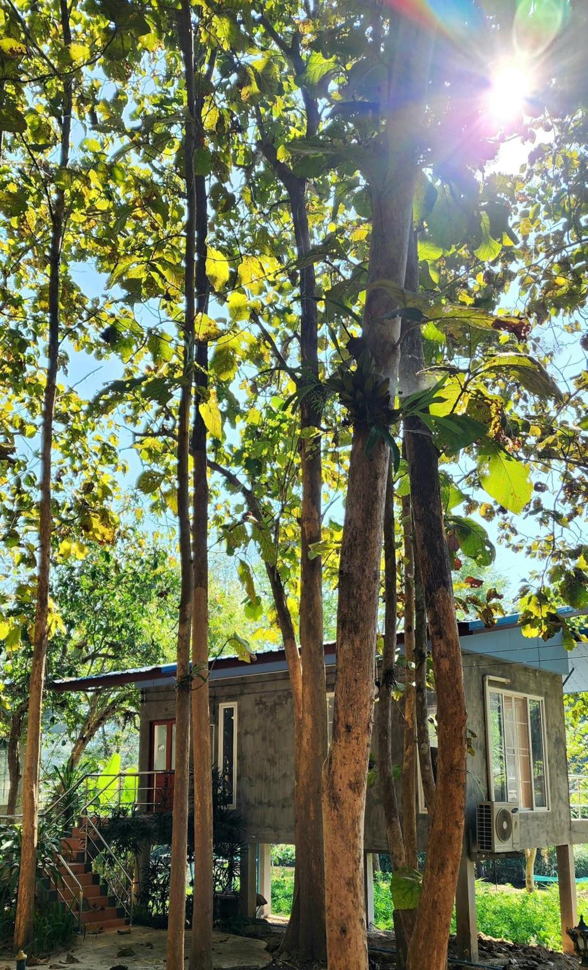 Rimtharnn Homestay Maewin Mae Wang المظهر الخارجي الصورة